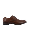 Oxford Law color tan