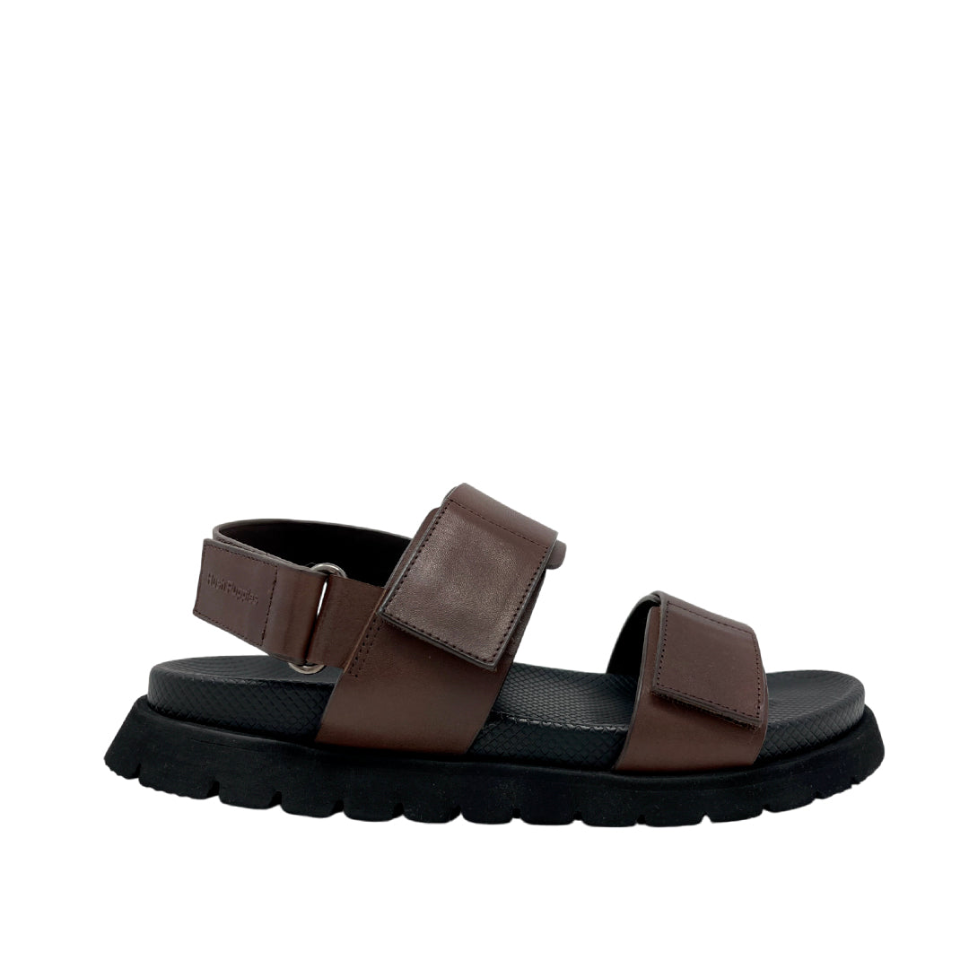 Sandalias Zaion para hombre color café