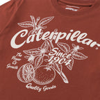 Camiseta Rib Collar para mujer color café